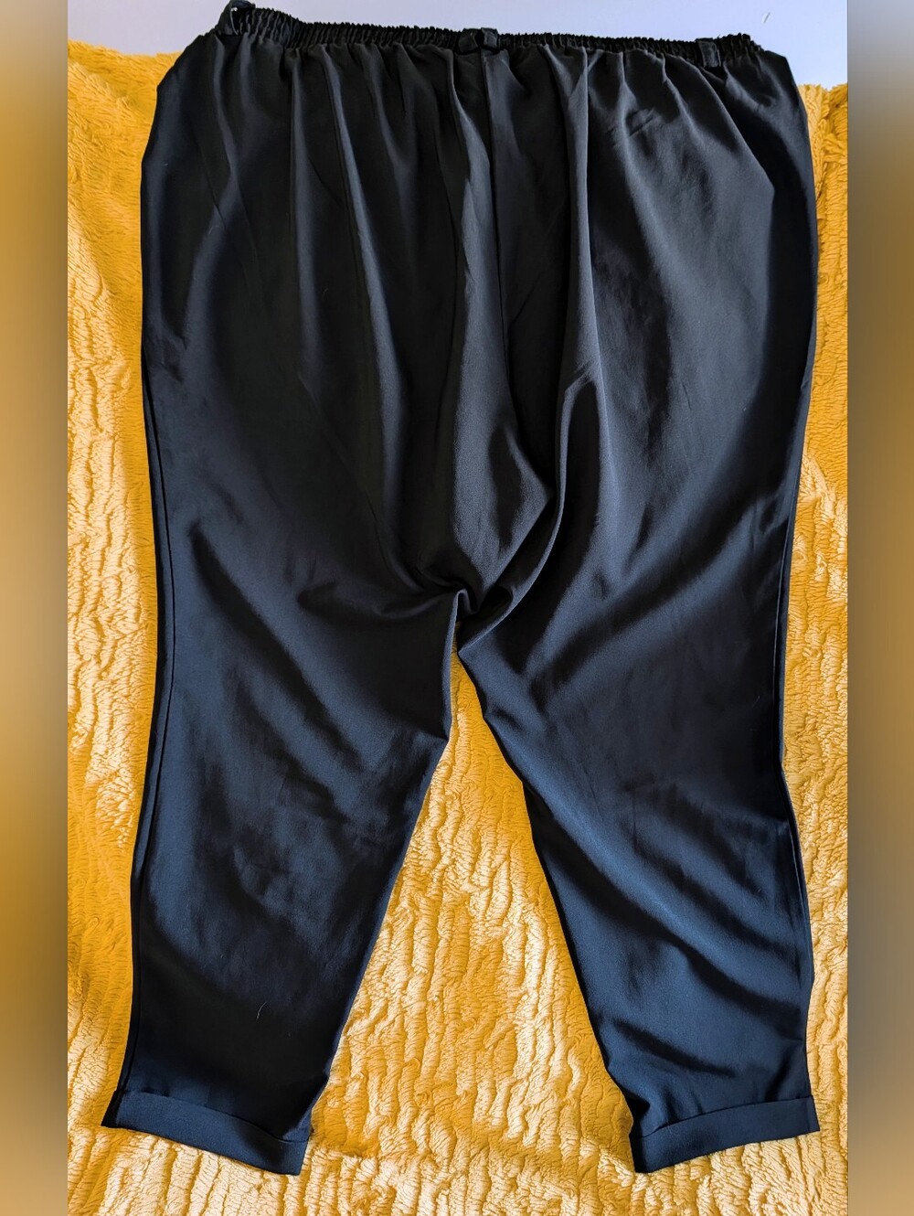 Women's Torrid Studio Pants